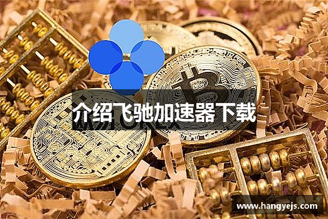 介绍飞驰加速器下载